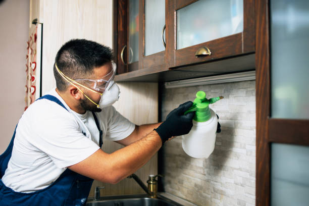 Best Local Pest Control Services  in Nemacolin, PA