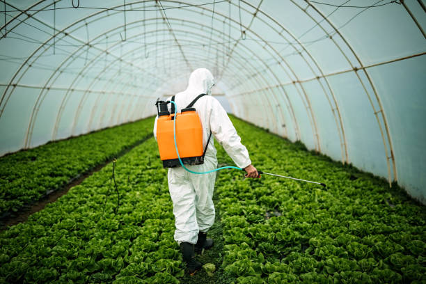 Best Affordable Pest Control Services  in Nemacolin, PA