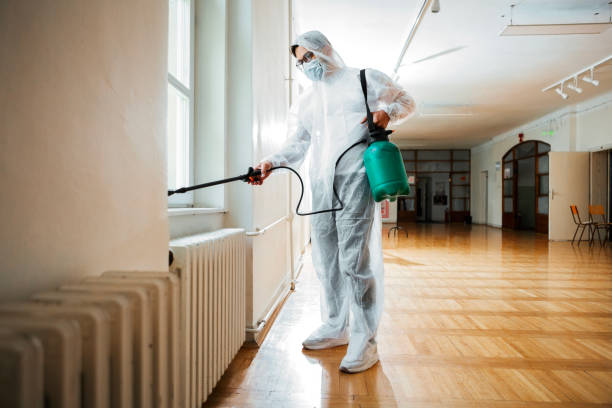 Best Termite Control Services  in Nemacolin, PA