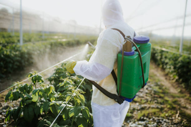  Nemacolin, PA Pest Control Pros
